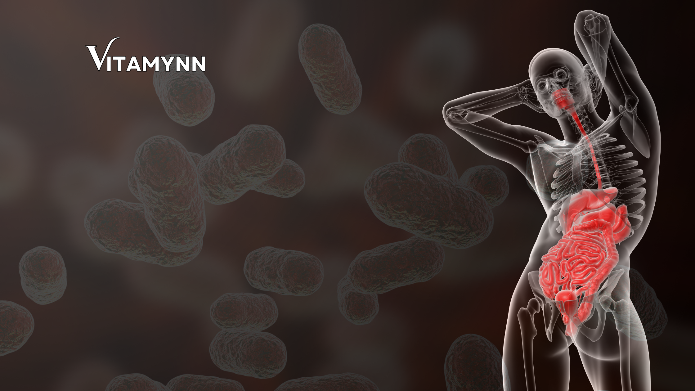 The Tiny Titans of Gut Health: Unlocking the Power of Lactobacillus